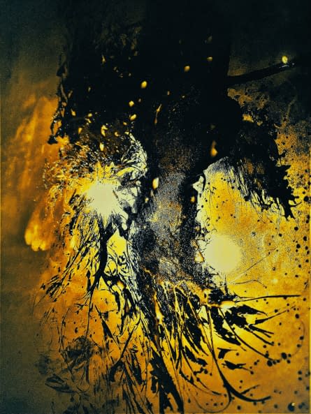 Foto 1 des Kunstwerks "Roots and wings" von Renata Srebro auf art24