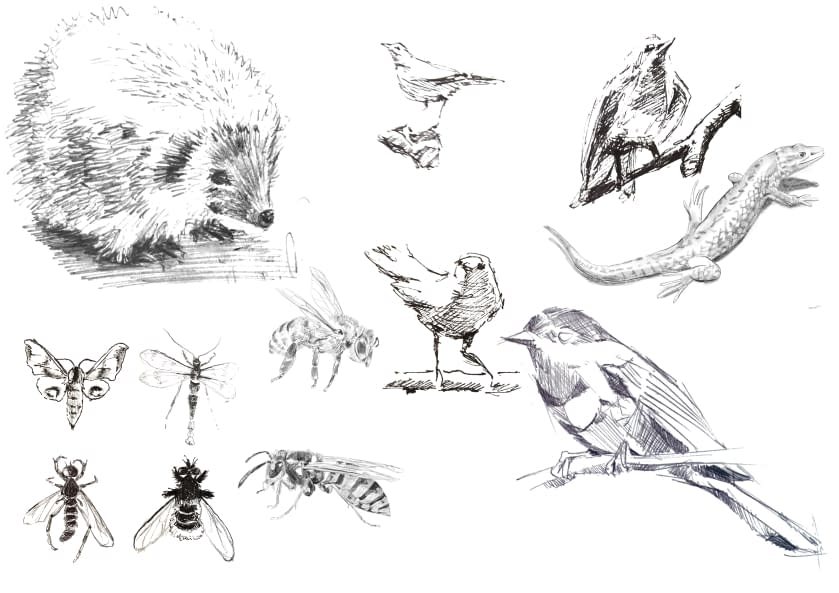 Image 1 of the artwork "Tierisches" by Thomas van der Heide on art24