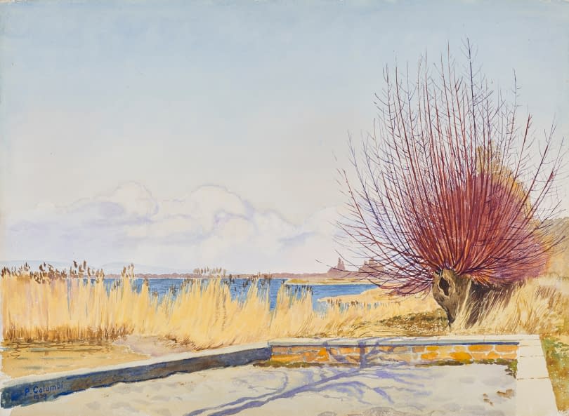 Image 1 of the artwork "Am See" by Plinio Colombi on art24