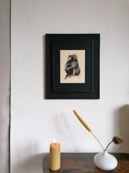 Photo 1 de l'œuvre "Pavian 1" par Rémy Sant sur art24
