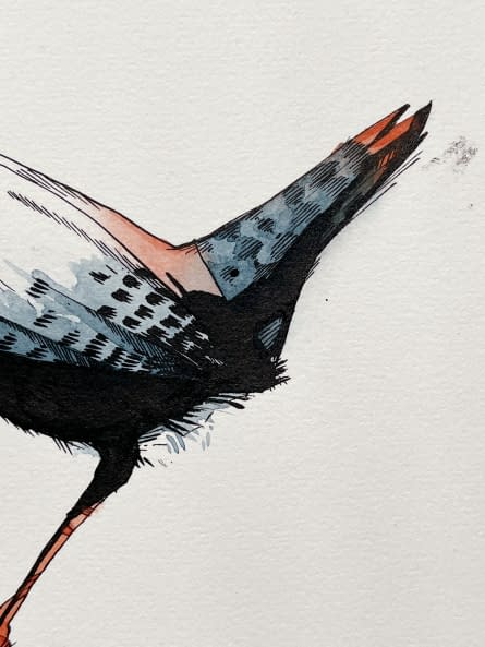 Photo 1 de l'œuvre "Eurasian Wren 4" par Rémy Sant sur art24