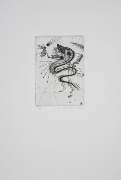 Photo 1 de l'œuvre "Aus Hoffmanns Erzählungen 15/40" par Jan Jedlicka sur art24