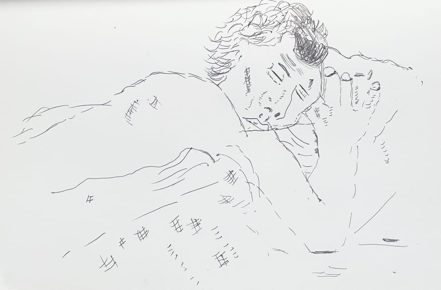 Photo 1 de l'œuvre "Drawings" par Irfan Ajvazi sur art24