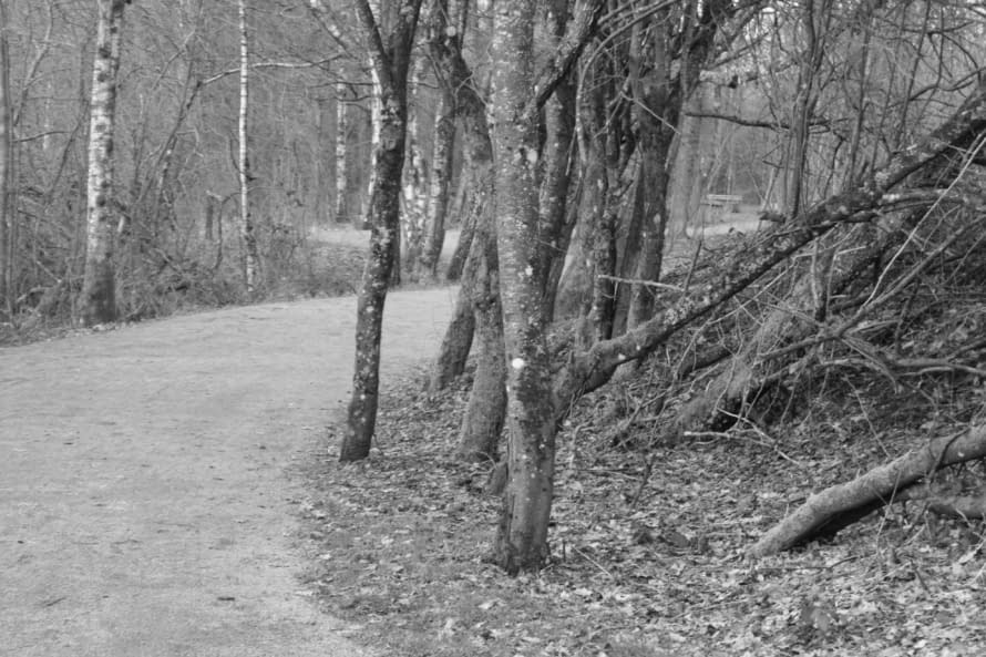 Image 1 of the artwork "Malsaucy" by Aurore Bohnenblust-Grosboillot on art24