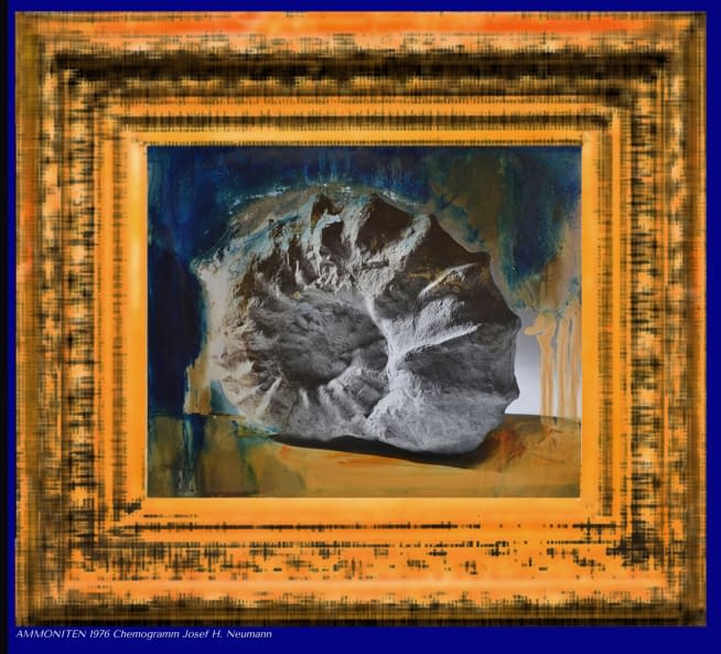 Foto 1 des Kunstwerks "* Ammoniten*" von Josef H. Neumann auf art24