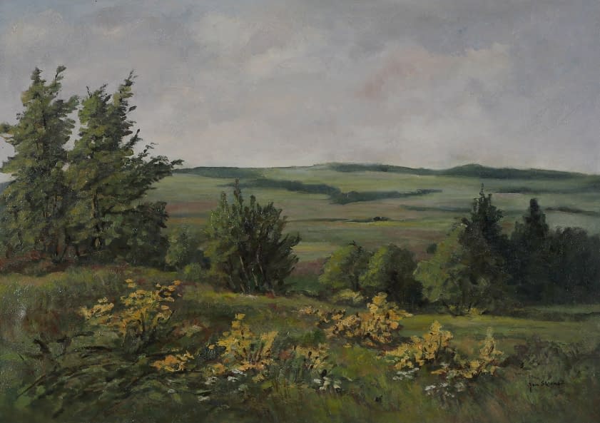 Photo 1 de l'œuvre "Blühender Besenginster" par Jan Sklenar sur art24