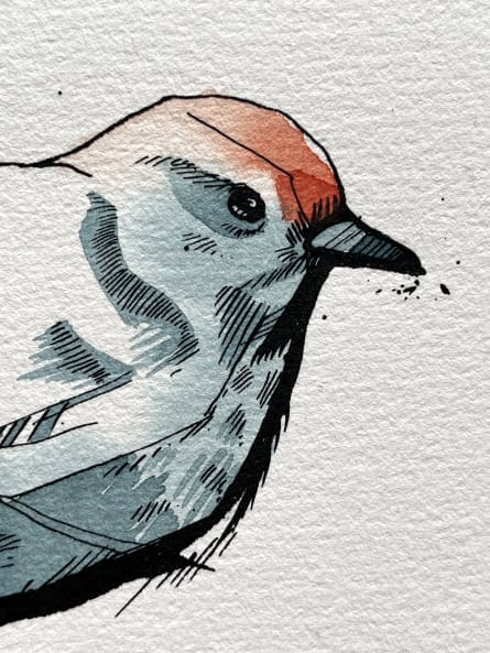 Photo 1 de l'œuvre "Eurasian Wren 1" par Rémy Sant sur art24