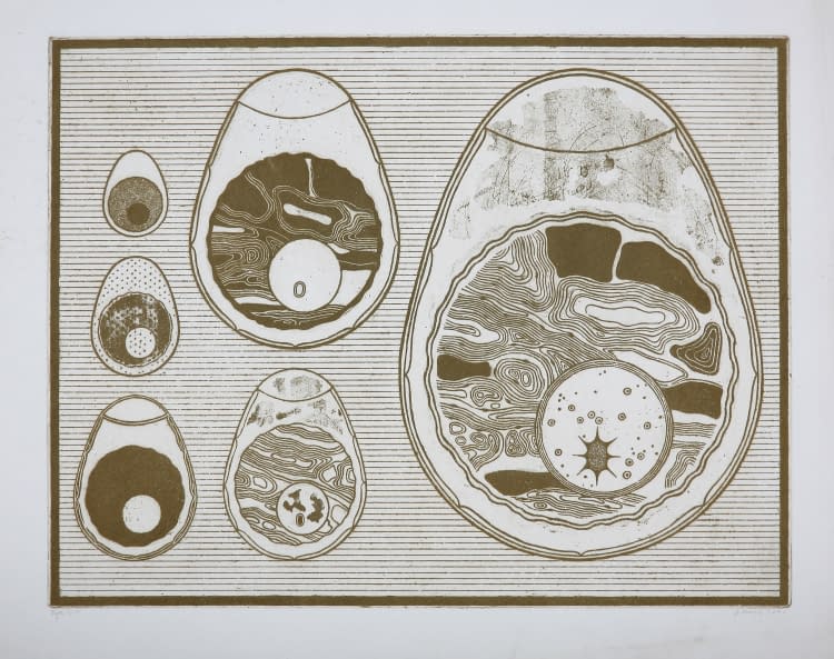 Photo 1 de l'œuvre "Eier 6/10" par Jaroslava Severová sur art24