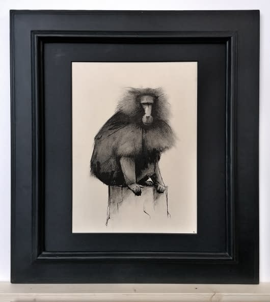 Photo 1 de l'œuvre "Gelada 2" par Rémy Sant sur art24