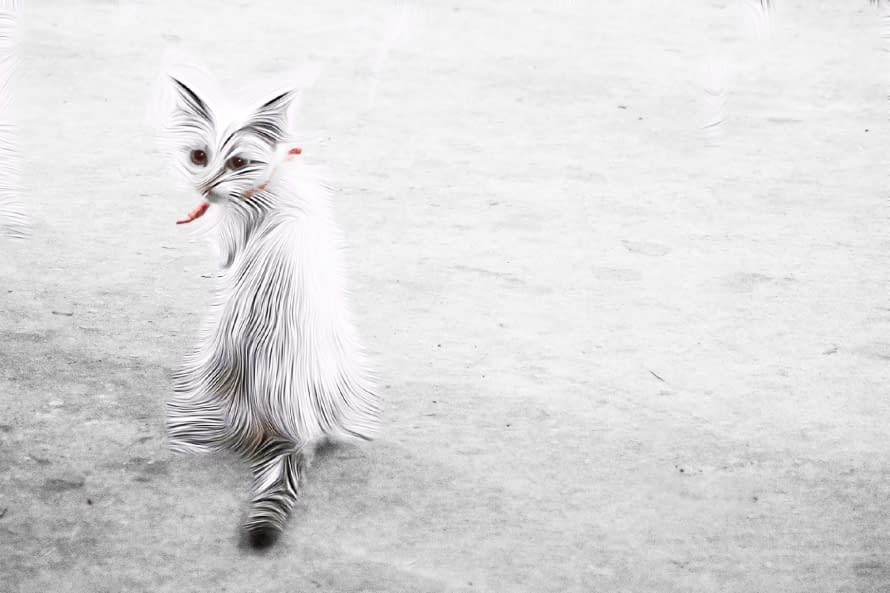 Foto 1 des Kunstwerks "Fluffy Animals" von Thomas Haensgen auf art24