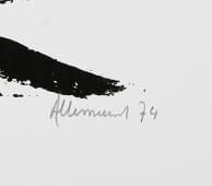 Andy Allemeersch