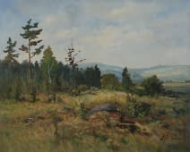 "Waldlichte bei Maskovice" by Jan Sklenar on art24