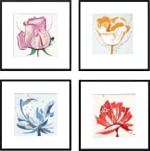 "Blumenmotive" von Günter Koch auf art24