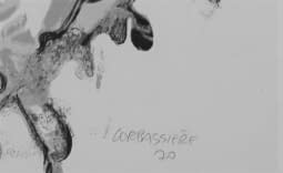 Yves Corbassière