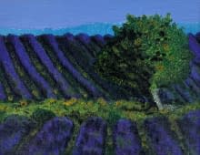 "Provence, champ de lavande" von Philipp H. Schmid auf art24