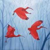 "Red Ibisses Flying" von Daria Startseva auf art24