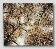 "Die stillen Bäume" de Gabriel Lúcàn Lüthi sur art24