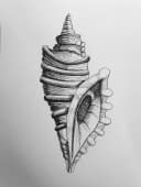 "Sea shell" by Anna Marrero on art24