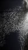 "Altocumulus 1" von Nicolas Wintsch auf art24