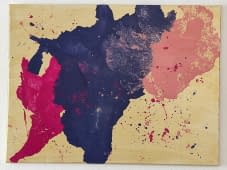 "Ohne Namen" de Veruschka sur art24