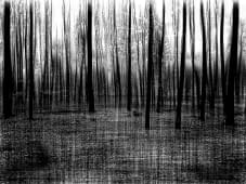 "Chestiness Black and White" von Flavio auf art24
