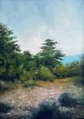"Nach dem Gewitter im parc naturel de l'esterel" von Philipp H. Schmid auf art24