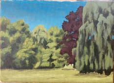 "Schadaupark" by Jonas Leuenberger on art24