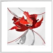 "Mohnblüte" by Günter Koch on art24