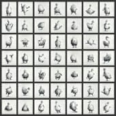 "49 Duck Butts" de Rémy Sant sur art24