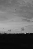 "Flugzeug" de Aurore Bohnenblust-Grosboillot sur art24