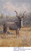 "10. Kudu Antilope aus Afrika" by Hans Jakob on art24