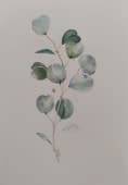 "eucalyptus populus" by Tabi on art24