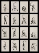 "16 Cat Butts" de Rémy Sant sur art24