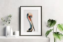 "Brown pelican side" de Rémy Sant sur art24