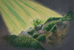 "Moss" de Alexia Vernier sur art24