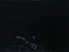 "Undying" de Alexia Vernier sur art24