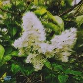 "Johannes bieten" by Dirk Wedekind 68 on art24