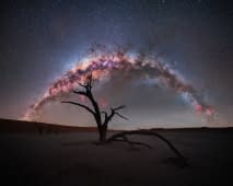 "Milky Way over Deavlei" von Benjamin Barakat auf art24