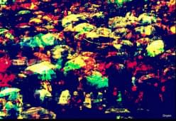 "Les parapluies de Tokyo" von Doyen auf art24