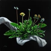 "Löwenzahn" by Ralf Lürig - LürigArt on art24