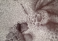 "Prozess" by Thomas van der Heide on art24