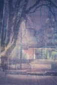 "Im Lichtregenmeer" von Helen Eggenschwiler auf art24
