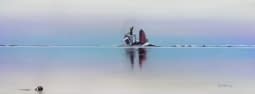"Wakashio" by Carlos Cabral on art24
