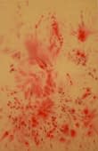 "love is red" von Shayan Afshari azad auf art24