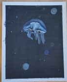 "Jellyfish" de Alexia Vernier sur art24
