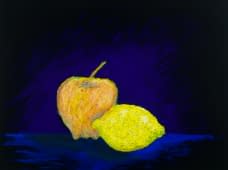 "The Origins of Light" de Alexia Vernier sur art24