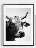 "Kuh" by Tobias Leuenberger on art24