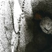 Karel Vysušil