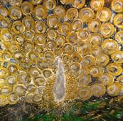 "Pfau Gold Silber" by Zoran Marcius on art24