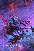 "Fullcolor 6" von Nicolas Wintsch auf art24